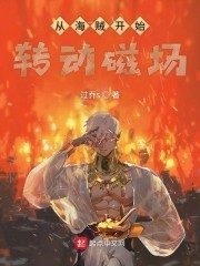 从海贼开始转动磁场封面