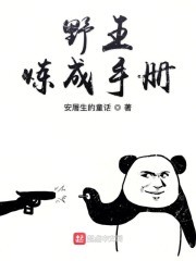 野王炼成手册封面