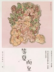 等夏而至封面