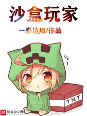 沙盒玩家封面