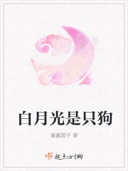白月光是只狗封面