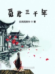 觅君三千年封面