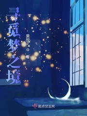 寻觅梦之境封面