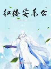 红楼安乐公封面