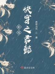 影视快穿之君懿封面