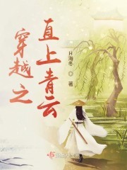 穿越之直上青云封面