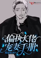 偏执大佬宠妻手册封面