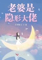 老婆是隐形大佬封面