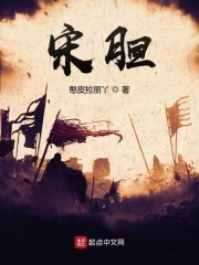 宋胆封面