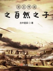 龙王传说之自然之子封面