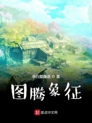 图腾象征封面