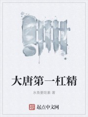 大唐第一杠精封面