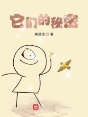 它们的秘密封面