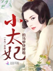 小太妃的马甲快掉啦封面