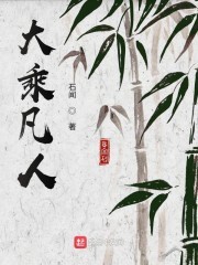 大乘凡人封面