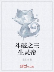 斗破之三生灵帝封面