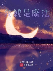 我就是魔法封面