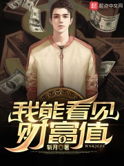 我能看见财富值封面