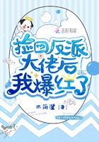 捡回反派大佬后我爆红了封面