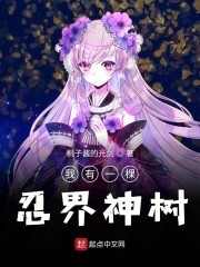 拥有火影系统的我才不是男孩子封面