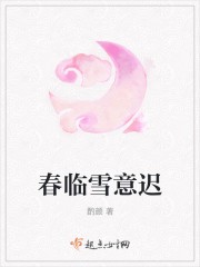 春临雪意迟封面