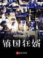 镇国狂婿封面