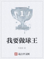我要做球王封面