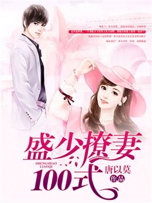 盛少宠妻100式封面