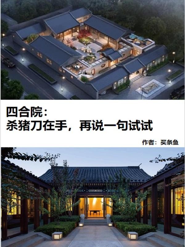 四合院:杀猪刀在手再说一句试试封面