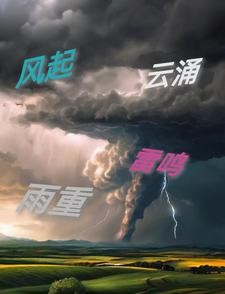 风起,云涌,雷鸣,雨重封面