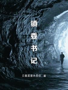 镇委书记封面