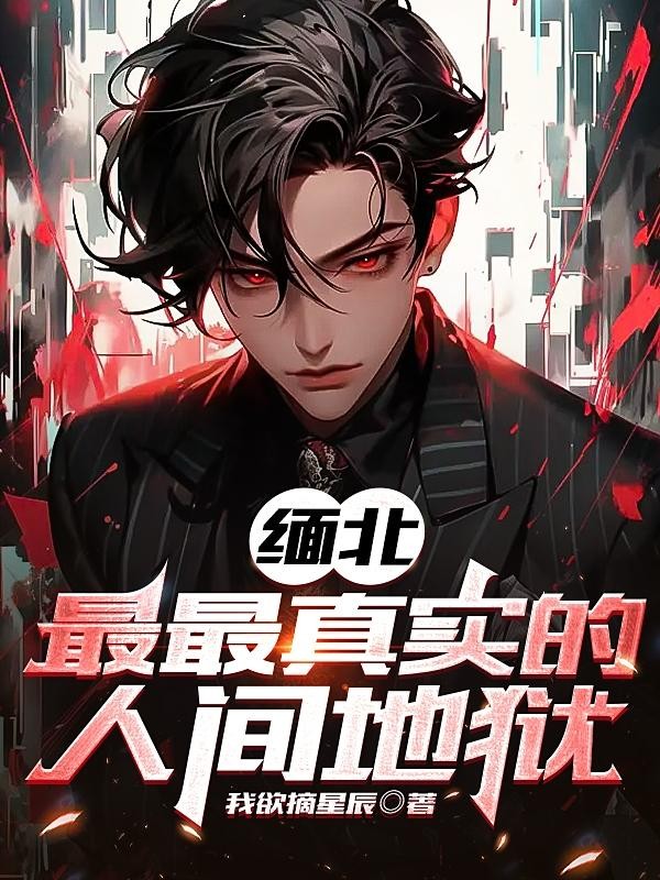 缅北,最最真实的人间地狱封面
