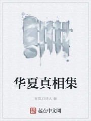 华夏真相集封面