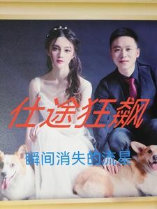 仕途狂飙封面