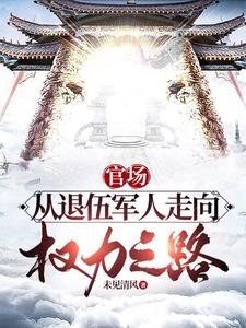 权力:巅峰之路封面