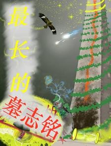 最长的墓志铭封面