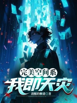 完美空间系:我即天灾封面