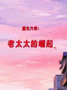 重生六零:老太太的崛起封面