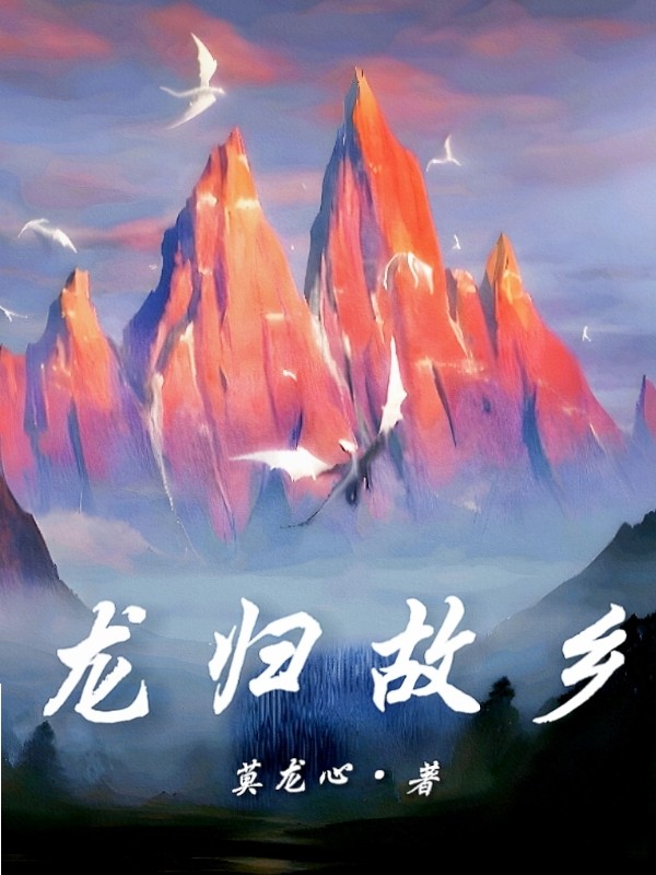 龙归故乡封面