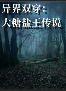 异界双穿:大糖盐王传说封面