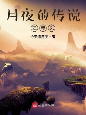 月夜的传说之寻觅封面