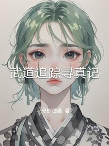 武道追踪寻真记封面