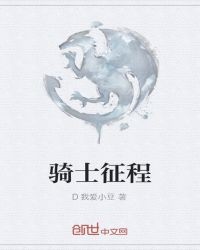 骑士征程封面