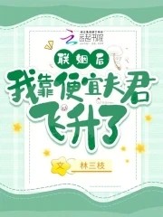 联姻后我靠便宜夫君飞升了封面