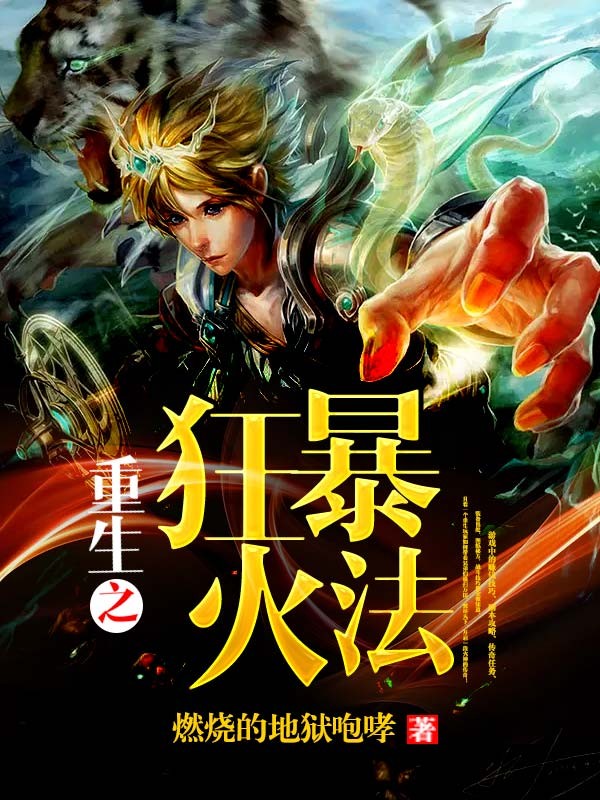 重生之狂暴火法封面