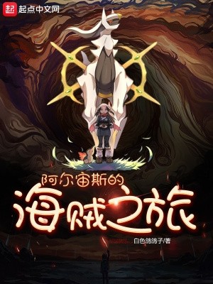 阿尔宙斯的海贼之旅封面