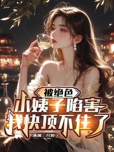 被绝色小姨子陷害,我快顶不住了封面