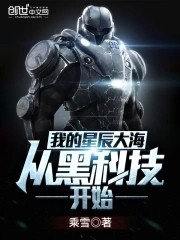 我的星辰大海从黑科技开始封面