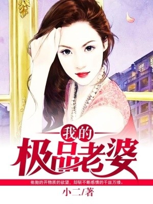 我的极品老婆封面