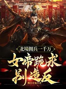 功高震主要杀我,我造反你后悔啥封面